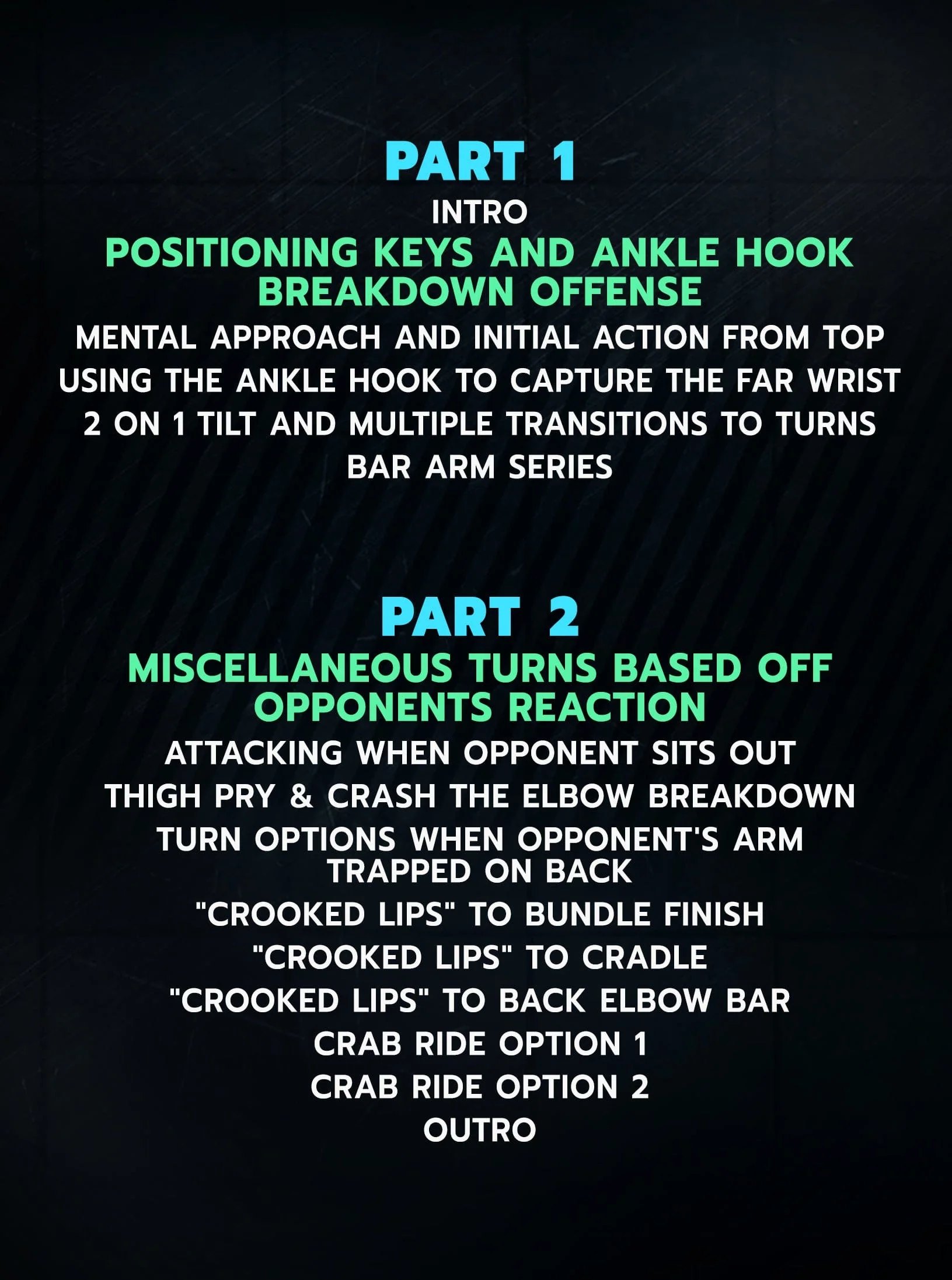 State of Domination: Championship Guide To Top Position Mastery by Carter Starocci - Image 2