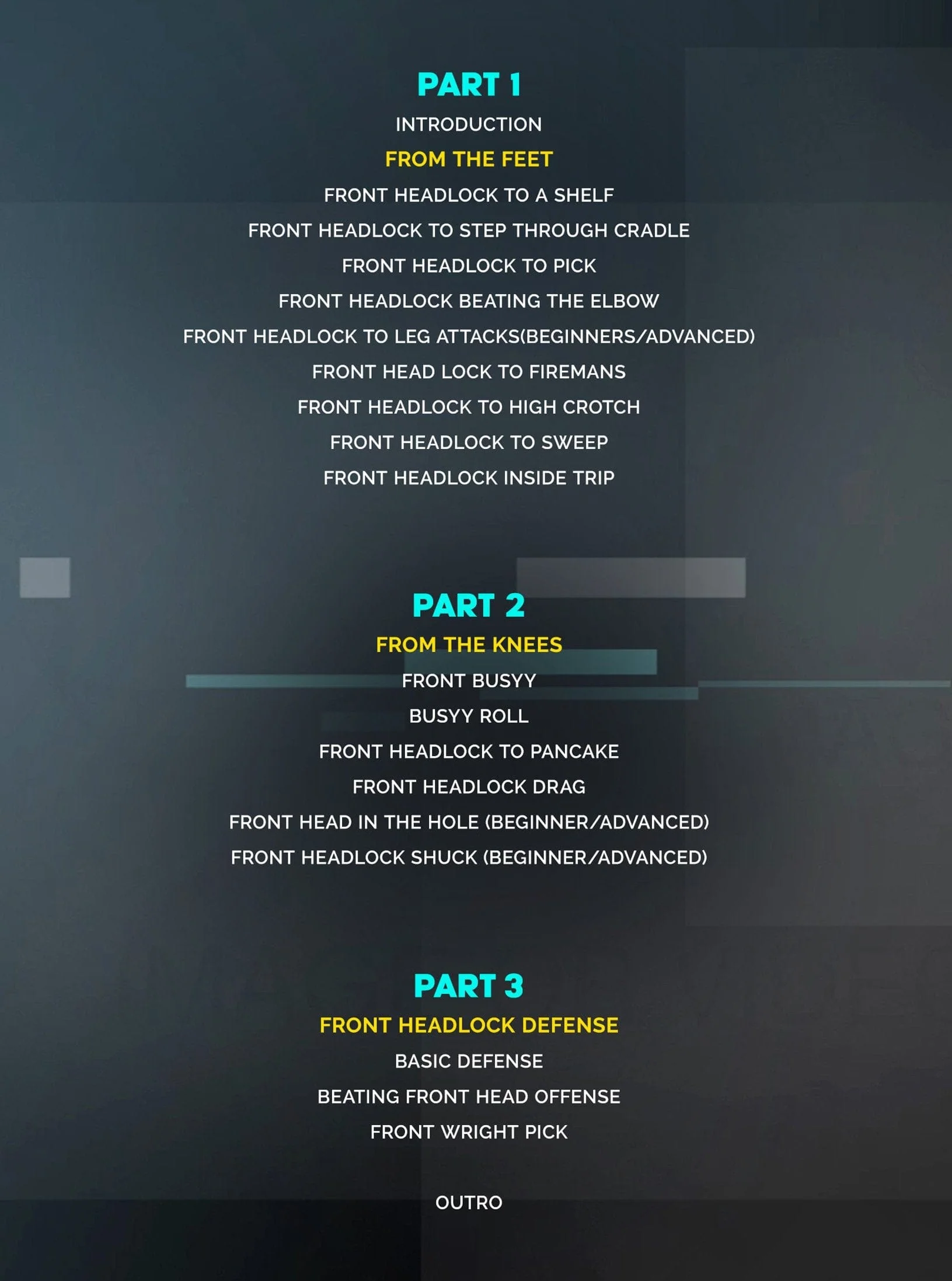 The Wright Way Takedown System by Brandon Wright - Image 2